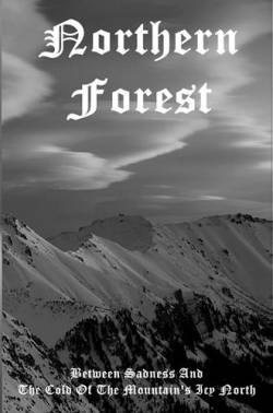 Northern Forest : Between Sadness and the Cold of the Mountain's Icy North